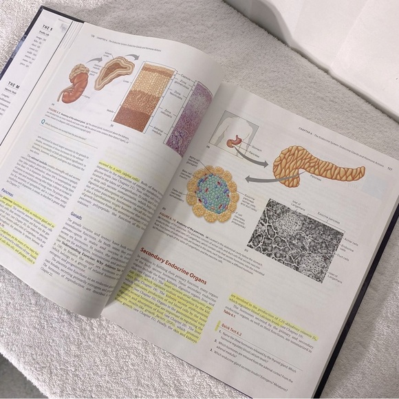 Pearson Principles Of Human Physiology Fourth Edition Hard Cover Textbook - Picture 7 of 11